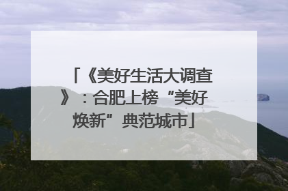 《美好生活大调查》：合肥上榜“美好焕新”典范城市