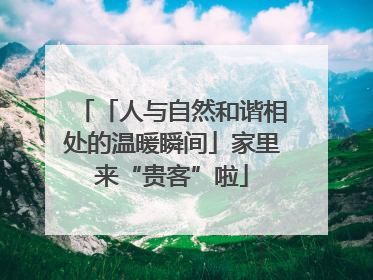 「人与自然和谐相处的温暖瞬间」家里来“贵客”啦