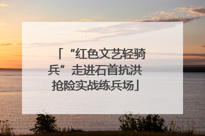 “红色文艺轻骑兵”走进石首抗洪抢险实战练兵场
