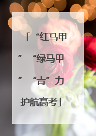 “红马甲”“绿马甲”“青”力护航高考