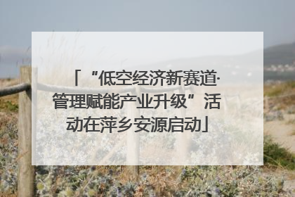 “低空经济新赛道·管理赋能产业升级”活动在萍乡安源启动