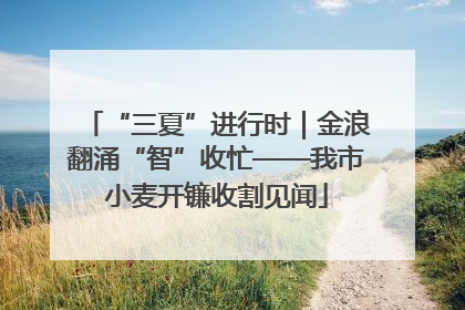 “三夏”进行时｜金浪翻涌“智”收忙——我市小麦开镰收割见闻