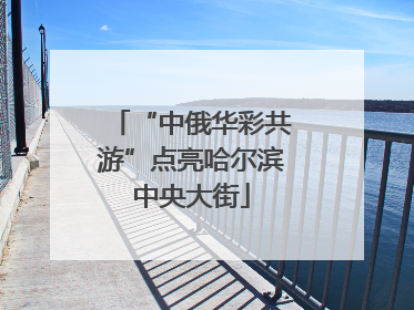 “中俄华彩共游”点亮哈尔滨中央大街