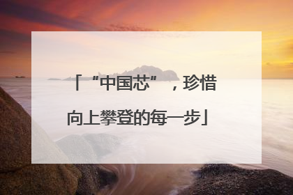 “中国芯”，珍惜向上攀登的每一步