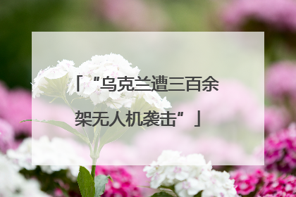 “乌克兰遭三百余架无人机袭击”
