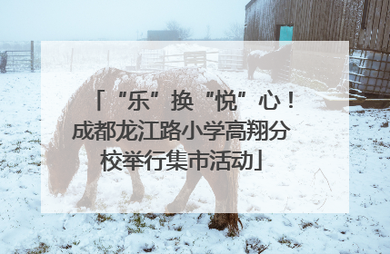 “乐”换“悦”心！成都龙江路小学高翔分校举行集市活动