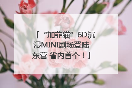 “加菲猫”6D沉浸MINI剧场登陆东营 省内首个！