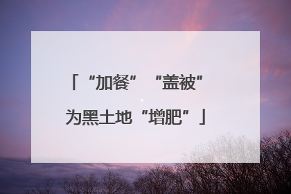 “加餐”“盖被” 为黑土地“增肥”