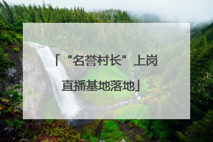“名誉村长”上岗 直播基地落地