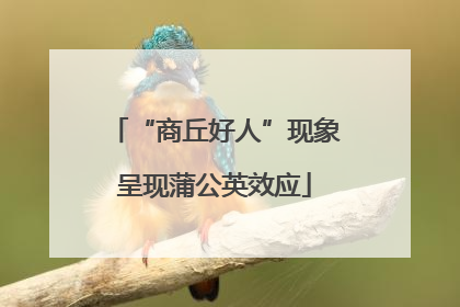 “商丘好人”现象呈现蒲公英效应