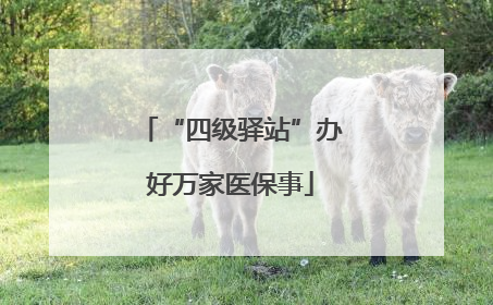 “四级驿站”办好万家医保事