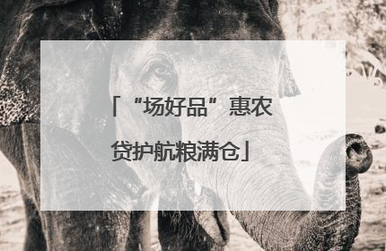 “场好品”惠农贷护航粮满仓