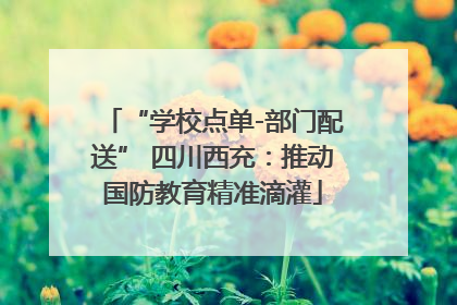 “学校点单-部门配送” 四川西充：推动国防教育精准滴灌