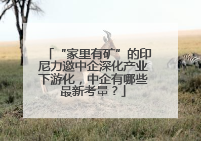 “家里有矿”的印尼力邀中企深化产业下游化，中企有哪些最新考量？