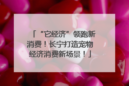 “它经济”领跑新消费！长宁打造宠物经济消费新场景！