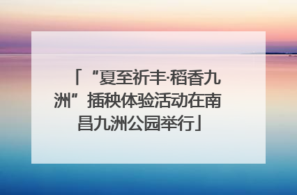 “夏至祈丰·稻香九洲”插秧体验活动在南昌九洲公园举行