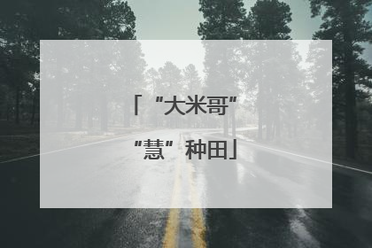 “大米哥”“慧”种田