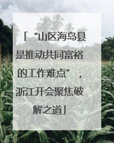 “山区海岛县是推动共同富裕的工作难点”，浙江开会聚焦破解之道