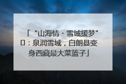 “山海情・雪域援梦”⑪：泉润雪域，白朗县变身西藏最大菜篮子
