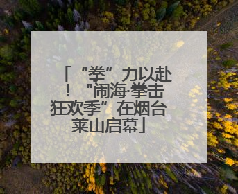 “拳”力以赴！“闹海·拳击狂欢季”在烟台莱山启幕
