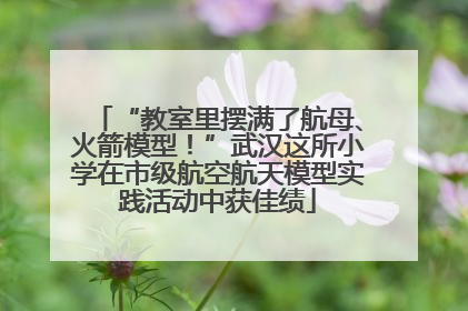 “教室里摆满了航母、火箭模型！”武汉这所小学在市级航空航天模型实践活动中获佳绩