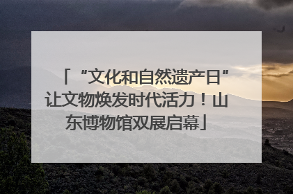 “文化和自然遗产日”让文物焕发时代活力！山东博物馆双展启幕