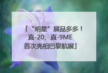 “明星”展品多多！直-20、直-9ME首次亮相巴黎航展