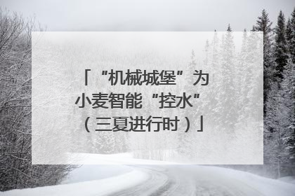 “机械城堡”为小麦智能“控水”（三夏进行时）