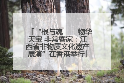 “根与魂——物华天宝 非常客家：江西省非物质文化遗产展演”在香港举行