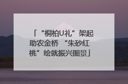 “桐柏U礼”架起助农金桥 “朱砂红桃”绘就振兴图景