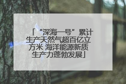 “深海一号”累计生产天然气超百亿立方米 海洋能源新质生产力蓬勃发展