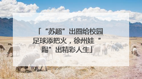 “苏超”出圈给校园足球添把火，徐州娃“踢”出精彩人生
