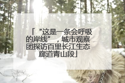 “这是一条会呼吸的岸线”，城市观察团探访百里长江生态廊道青山段