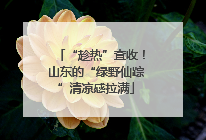 “趁热”查收！山东的“绿野仙踪”清凉感拉满