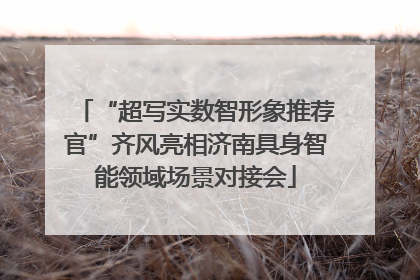 “超写实数智形象推荐官”齐风亮相济南具身智能领域场景对接会