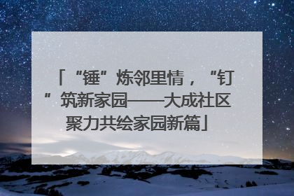 “锤”炼邻里情，“钉”筑新家园——大成社区聚力共绘家园新篇