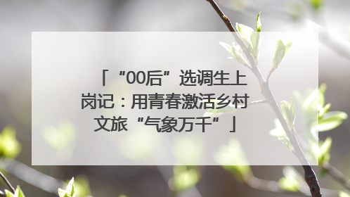 “00后”选调生上岗记：用青春激活乡村文旅“气象万千”