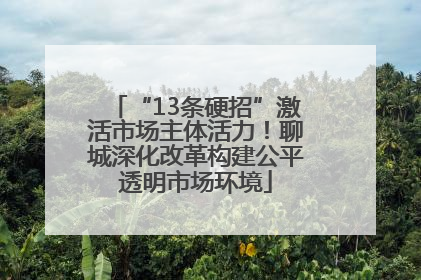 “13条硬招”激活市场主体活力！聊城深化改革构建公平透明市场环境