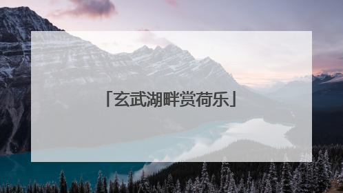 玄武湖畔赏荷乐