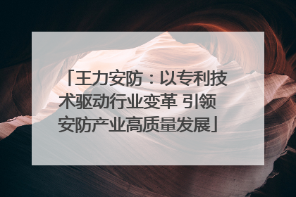 王力安防：以专利技术驱动行业变革 引领安防产业高质量发展