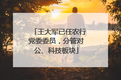 王大军已任农行党委委员，分管对公、科技板块