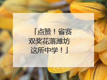 点赞！省赛双奖花落潍坊这所中学！