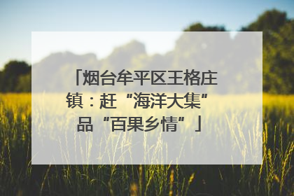 烟台牟平区王格庄镇：赶“海洋大集” 品“百果乡情”