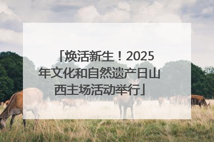 焕活新生！2025年文化和自然遗产日山西主场活动举行