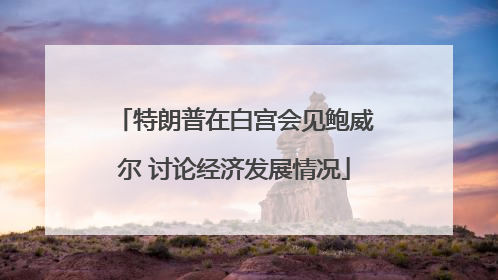 特朗普在白宫会见鲍威尔 讨论经济发展情况