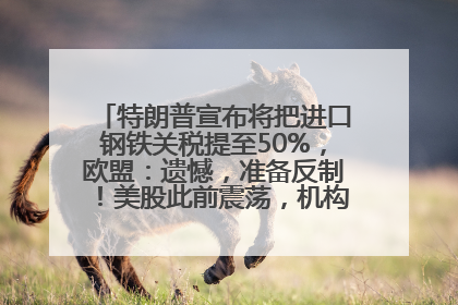 特朗普宣布将把进口钢铁关税提至50%，欧盟：遗憾，准备反制！美股此前震荡，机构：美元正进入熊市