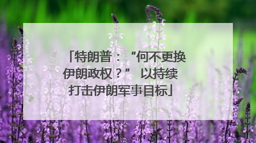 特朗普：“何不更换伊朗政权？” 以持续打击伊朗军事目标