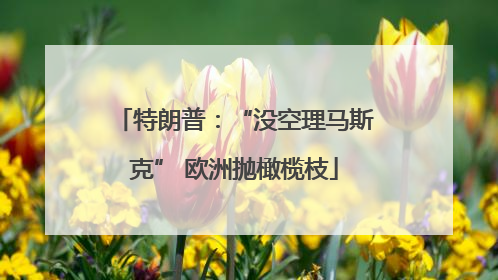 特朗普：“没空理马斯克” 欧洲抛橄榄枝