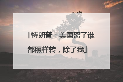 特朗普：美国离了谁都照样转，除了我