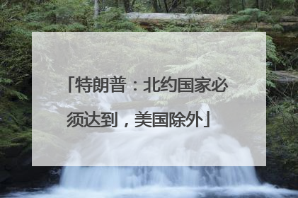 特朗普：北约国家必须达到，美国除外